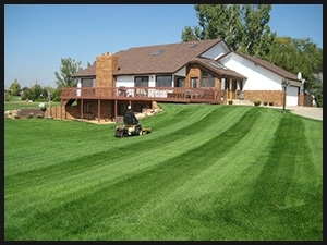 residential lawn and landscaping services